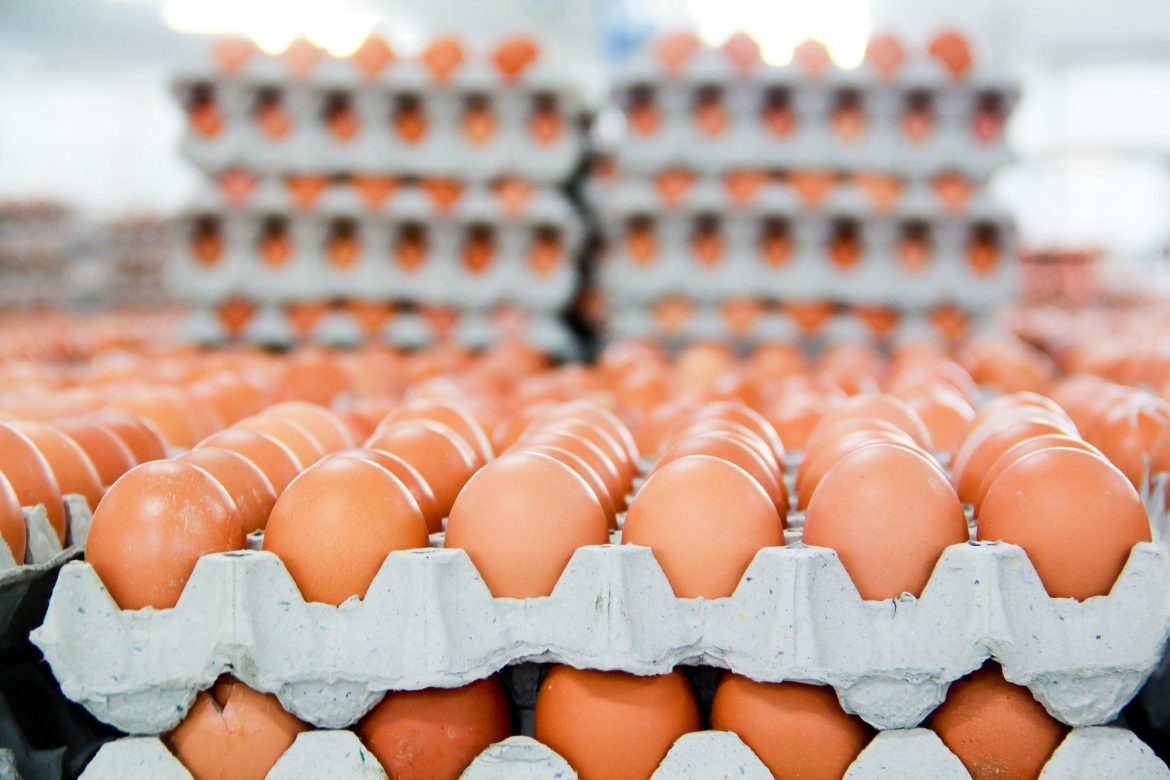 Giá trứng tại chợ Hà Nội tăng gấp rưỡi và cháy hàng cục bộ